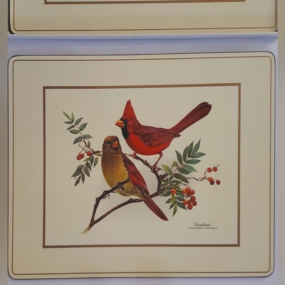 (4) 15 5/8" x 11 5/8" Large Pimpernel Songbird Heavy Deluxe Cork Placemats